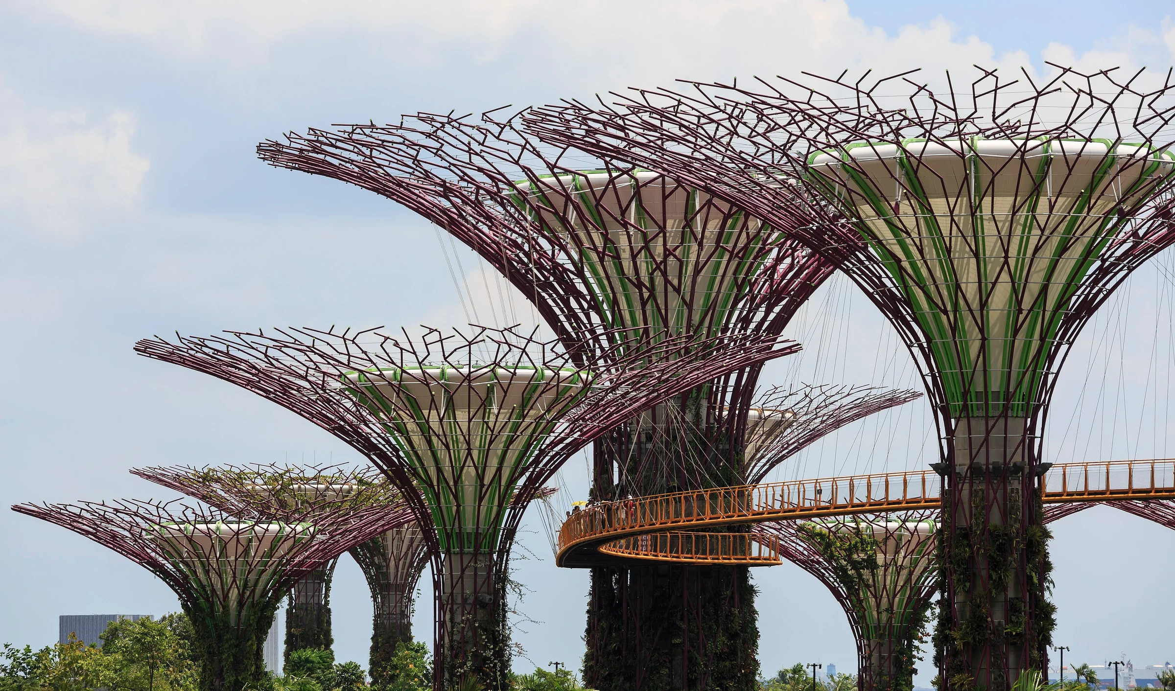 Супердеревья Gardens by the Bay: прогулка по Supertree Grove и вход в отдельные платные объекты имеют разные условия.